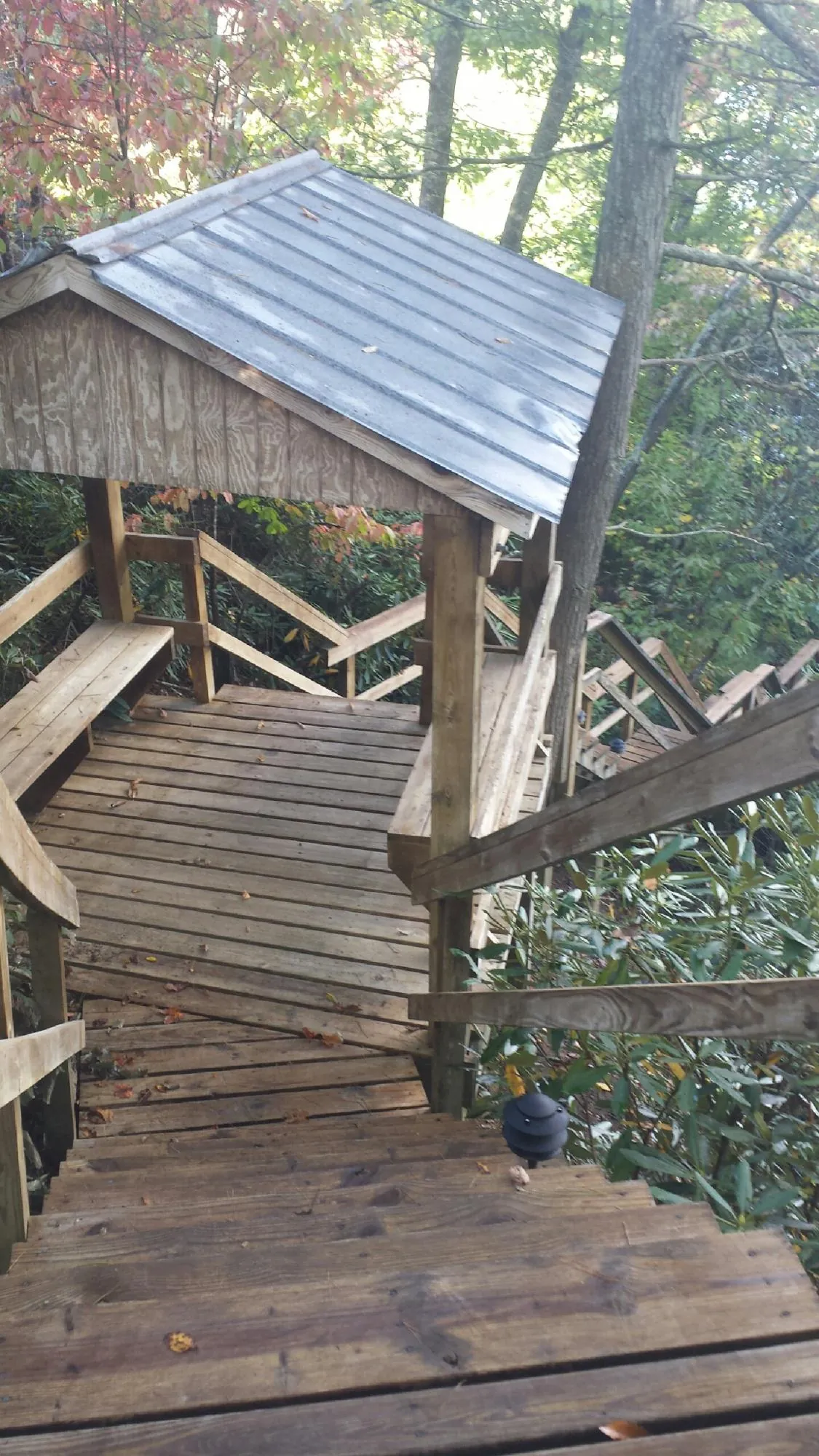 Metal roofed shelter over wooden steps on a wooded walkway in Warwick